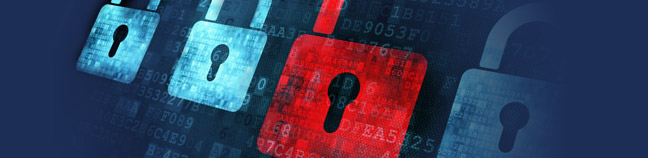 Vulnerability Assessment
